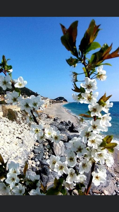 B&B Piccolo Paradiso Finale Ligure Extérieur photo